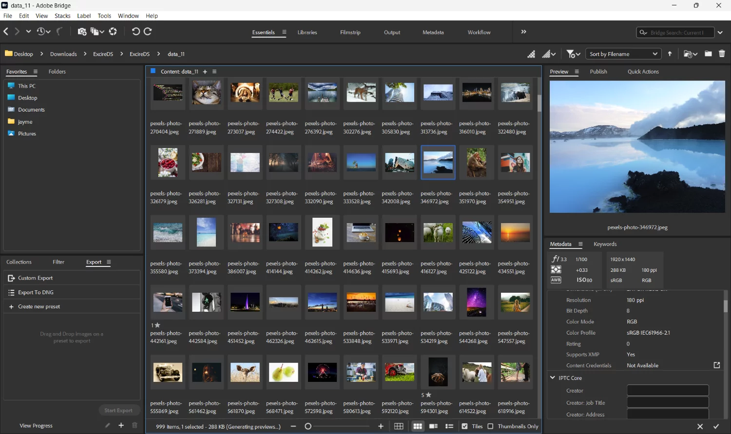 Adobe Bridge main layout with grid