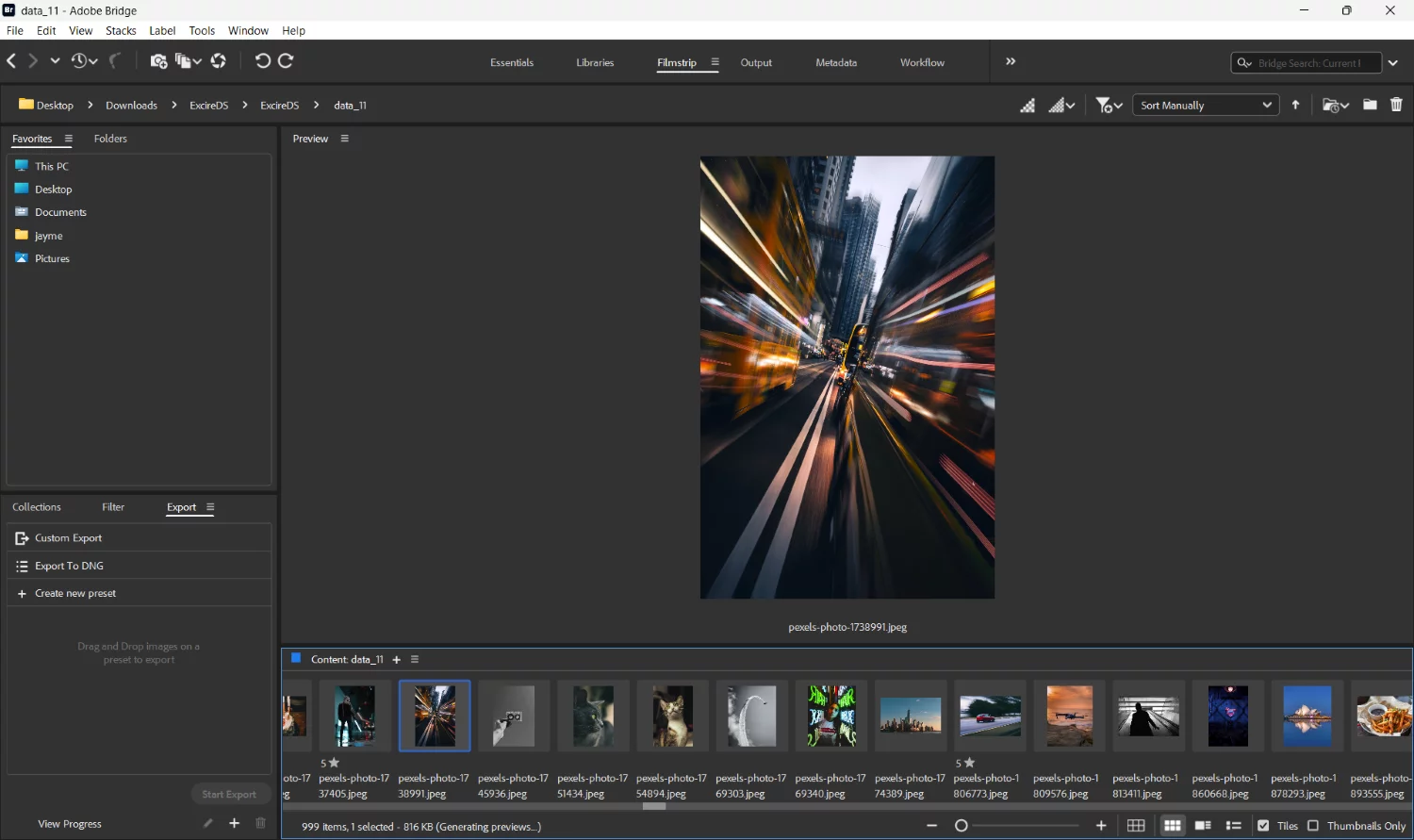 Adobe Bridge photo manager with an image preview