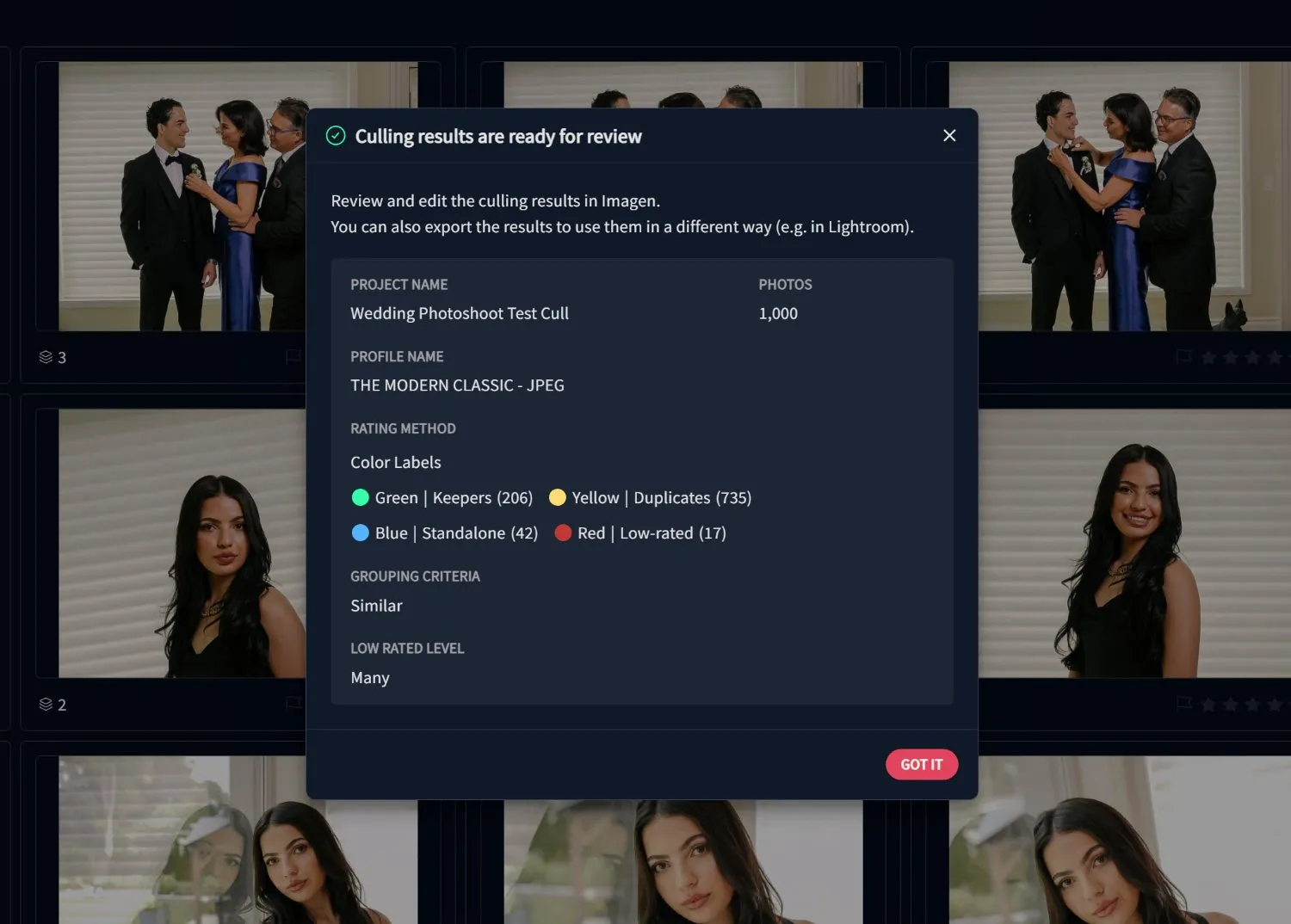 Imagen culling results dialog box