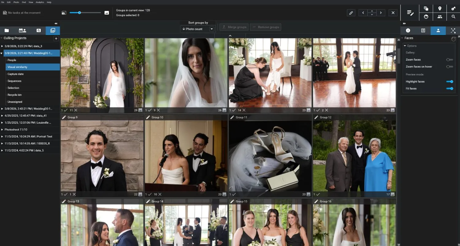 Visual similarity culling groups in Excire Foto 2025