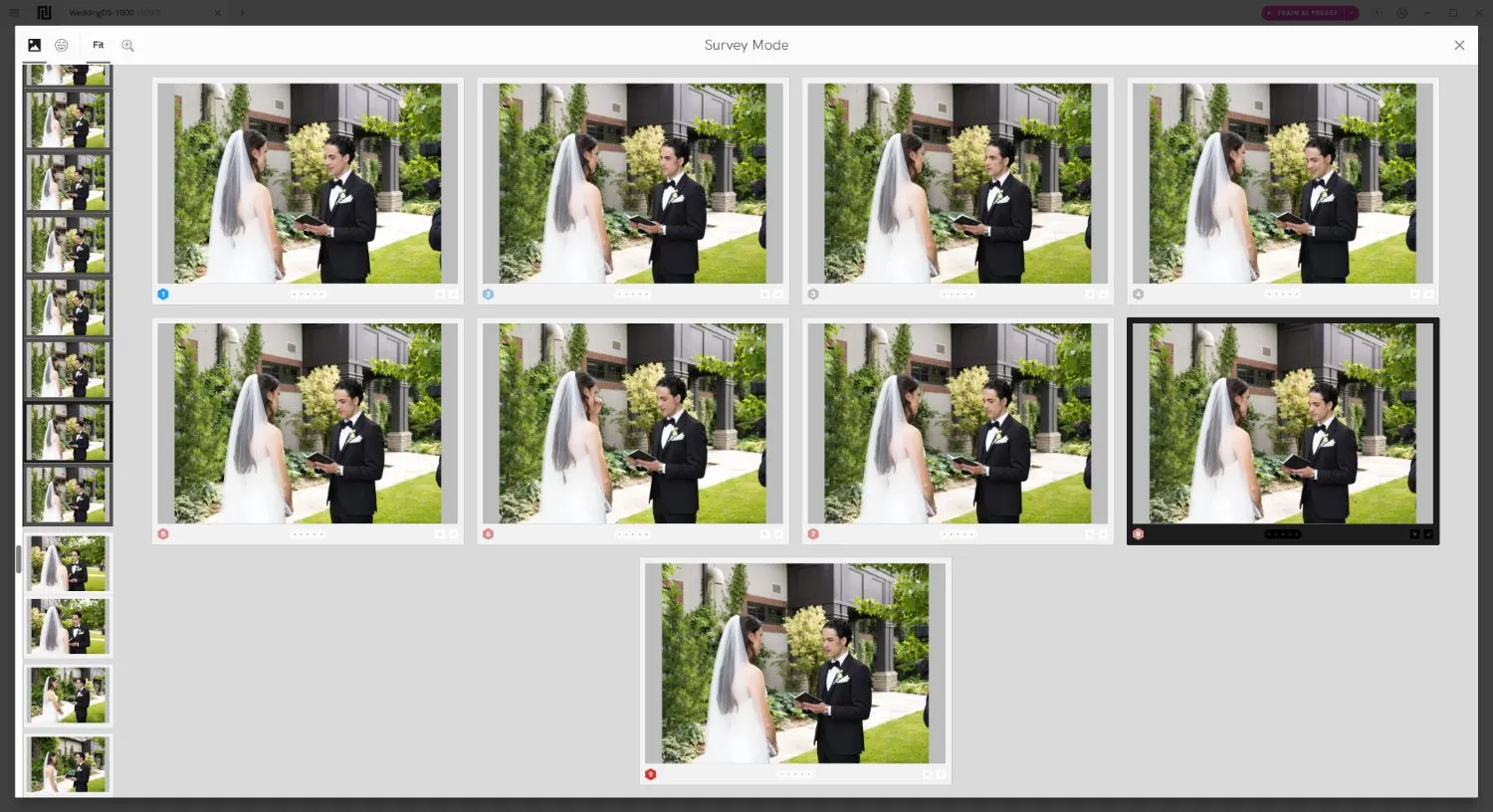 Narrative interface with special culling Survey Mode