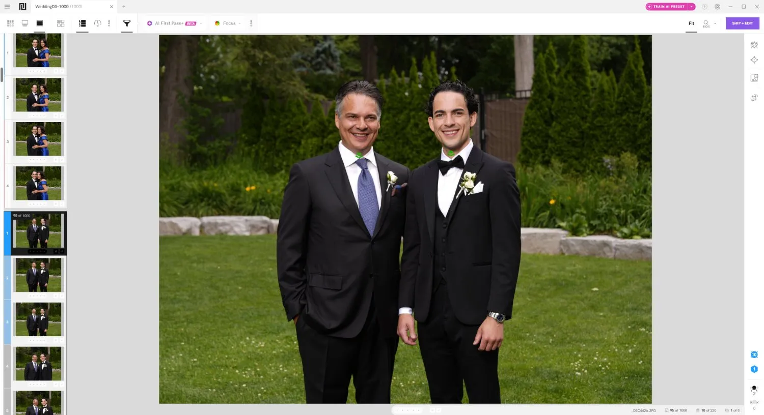 Narrative culling program with main Loupe view