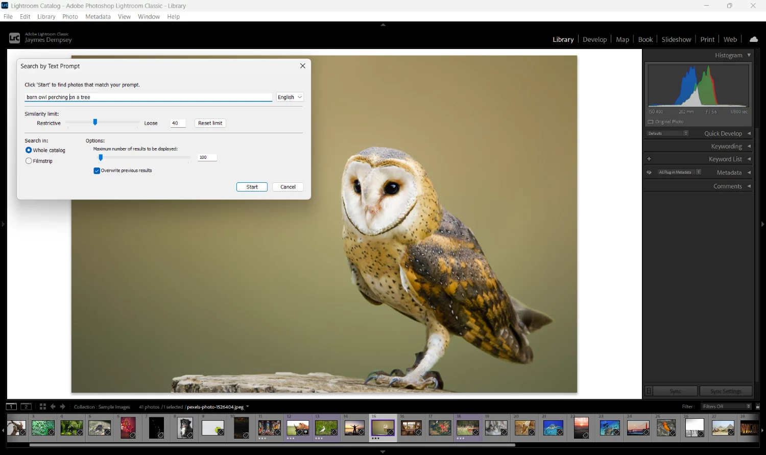 Excire Search AI prompt search dialog with an owl Image