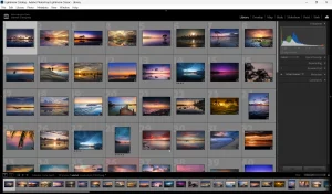 Lightroom Classic-Bibliotheksmodul mit Hauptraster