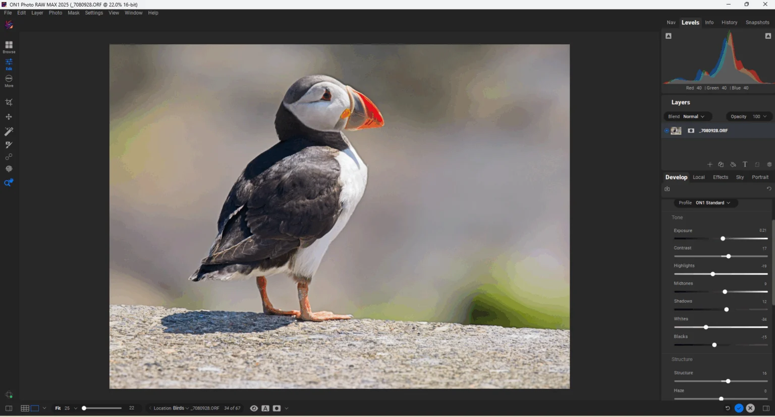 PetaPixel-Repost: Fotoverwaltung mit Excire und Alternativen zu Adobe